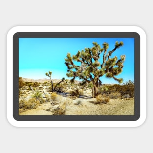 Joshua Tree National Park, California Sticker